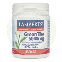 Chá Verde Lamberts