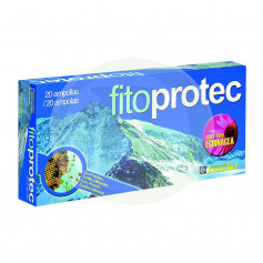 Fitoprotec com Echinacea 20 Ampoules Ynsadiet