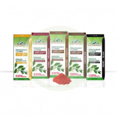 Creme de Cor de Cabelo Mahogany 60Ml. Corpore Sano