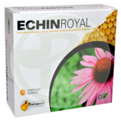 Echin Royal 20 Ampoules Cfn