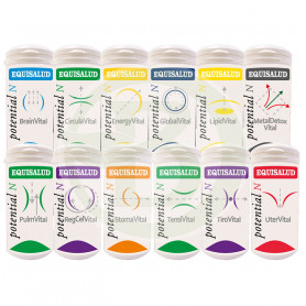 Renvital 60 Cápsulas Equisalud