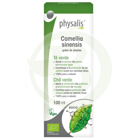 Camellia Sinensis 100Ml. Physalis