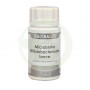 Bifidobacterium Microbiota Brief 60 Capsules Equisalud