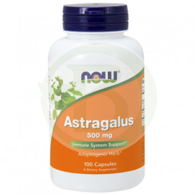 Astragalus 500Mg. 100 cápsulas agora