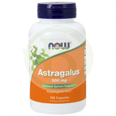 Astragalus 500Mg. 100 cápsulas agora