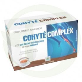 Cohyte Complex 20 Envelopes Noefar