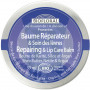 Bálsamo Reparador de Lábios de Manteiga de Karité 35Ml. Biofloral