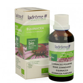 Echinacea 50Ml. Ladrome
