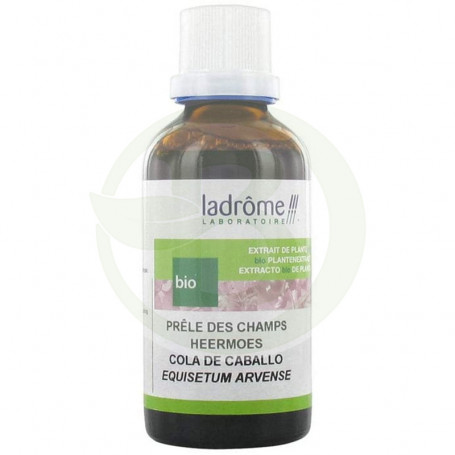 Cavalinha 50Ml. Ladrome