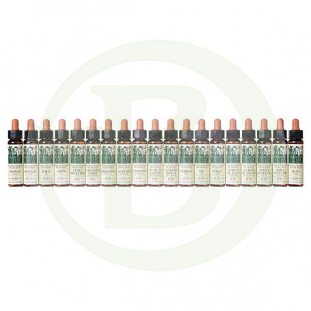 Elixir Floral 25 Castanha Vermelha 10Ml. Plantis
