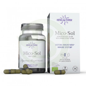Mico Sol Cogumelo do Sol Hifas da Terra
