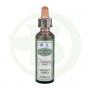 Solução de recuperação de Bach 10Ml. Santiveri