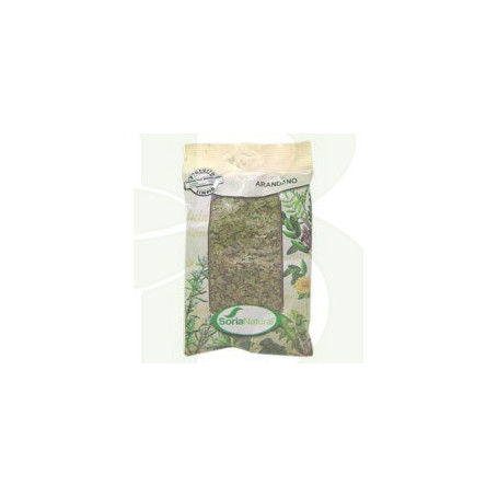 Saco Blueberry 30Gr. Soria Natural