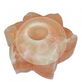 Suporte de vela de flor de sais de Asfand