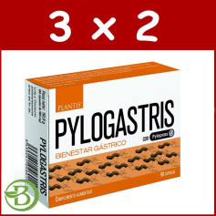 Embalagem 3x2 Pylogastris 90 Cápsulas Plantis