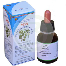 Msa Betula Pubescens Buds 50 Ml Herboplanet
