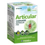 Cannabis Articular 60 Cápsulas Ynsadiet