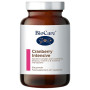 Cranberry Intensive 60 G Pó Biocare