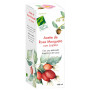 Óleo de Rosa Mosqueta com Jojoba 100 Ml 100% Natural