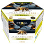 Regal Bee Defenses 20 frascos Nova Diet