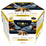 Regal Bee Energy 20 frascos Nova Diet