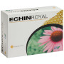 Echin Royal 20 Varas Cfn