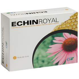 Echin Royal 20 Varas Cfn