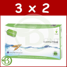 Pack 3x2 L-Carnitina 20 Ampolas Novadiet
