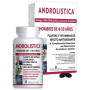Androlística 40 Cápsulas Holística