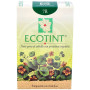 Ecotint Copper Blonde 7R Noefar