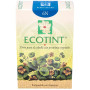Ecotint Dark Blonde 6N Noefar