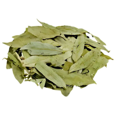 Sen Folhas 1Kg Pinisan
