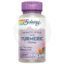 Super Tumeric 30 Capsules Solaray