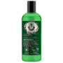 Green Agafia Shampoo Natural Antiqueda 260Ml Agafja