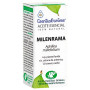 Óleo Essencial de Yarrow 5Ml Esential Aroms