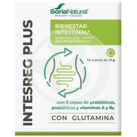INTESREG PLUS 14 ENVELOPES SORIA NATURAL