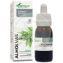 Extrato de feno-grego XXI 50Ml. Soria Natural