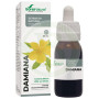 Damiana Extract Formula XXI 50Ml. Soria Natural