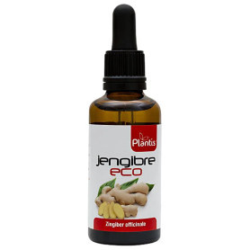 Extrato de Gengibre Orgânico 50Ml Plantis