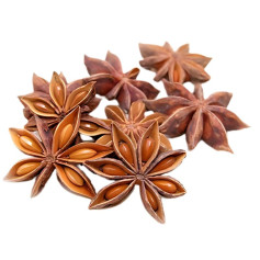 Anis estrelado 100G Diplan