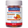 Biome Balance Advance 60 Gomas Lamberts