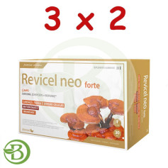 Pack 3x2 Recivel NEO 30 Ampolas Dietmed