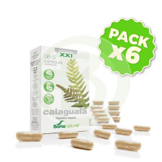 Pacote 6x Calaguala 8S Fórmula XXI Soria Natural