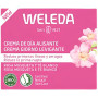 Creme de Dia Suavizante de Rosa Mosqueta e Chá Branco Weleda 40ml