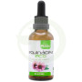 Extrato de Echinacea ECO S / A 50Ml. Plantis