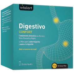 Conforto Digestivo 20 Sticks Vitalart