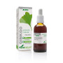 Fórmula do Extrato de Ginkgo Biloba XXI 50Ml. Soria Natural