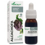 Fórmula de Extrato de Alcachofra XXI 50Ml. Soria Natural