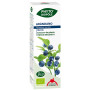 Phyto-Biopole Bio Blueberry 50Ml. Interesse