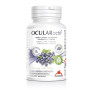Ocularactif 45 Cápsulas Intersa